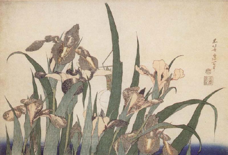 Claude Monet Iris
